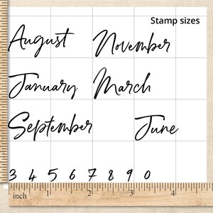 Script Month Journal Clear Stamp Set, 4x6in Photopolymer Planner Stamps with Number Stamps for Dates and Calendars image 5