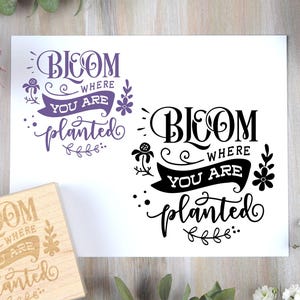 Tampon fleuri là où vous êtes planté - un tampon de jardin printanier pour des graines, des fournitures de journal, de l'inspiration et un message de motivation positive