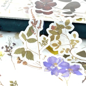 Autocollants Washi de fleurs pressées 60 pièces, autocollants botaniques floraux séchés, pour Junk Journal Kit Ephemera ou carnet de voyage et planificateurs