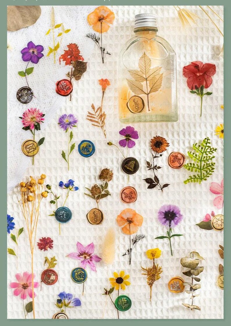 以下が含まれることがあります： 乾燥した花と植物要素の俯瞰図。葉が入った透明なガラス瓶が、色とりどりの押し花、ワックスシール、小枝に囲まれて、白いテクスチャのある表面に置かれています。