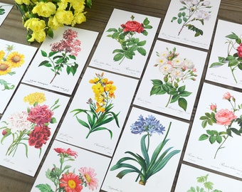 Postcard Set, 20 Flowers by Pierre Joseph Redoute, Vintage Floral Designs, Natural History Art, Penpal Note Cards or Journal Supplies