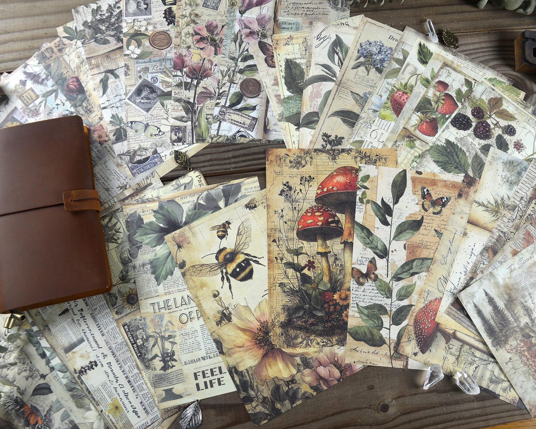 Nature Paper Pack 30 P, Vintage Style Junk Journal Supplies, Small ...