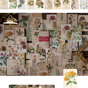May include: A collection of vintage-style botanical illustrations on paper. The images feature various colorful flowers and plants, with handwritten text and a distressed aesthetic. The set includes 60 pieces, each measuring 50x80mm.