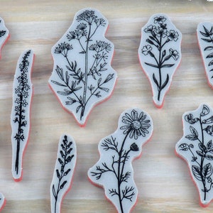 May include: A collection of floral-themed rubber stamps. Each stamp features a different botanical design in black ink, including various flowers and leaves. The stamps have a light gray surface with a red border.