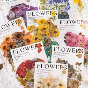 Stickers fleurs pressées 40 pcs, Stickers pour sceaux de cire, Fournitures pour journaux indésirables, Stickers botaniques, Fleurs pour carnets d'art