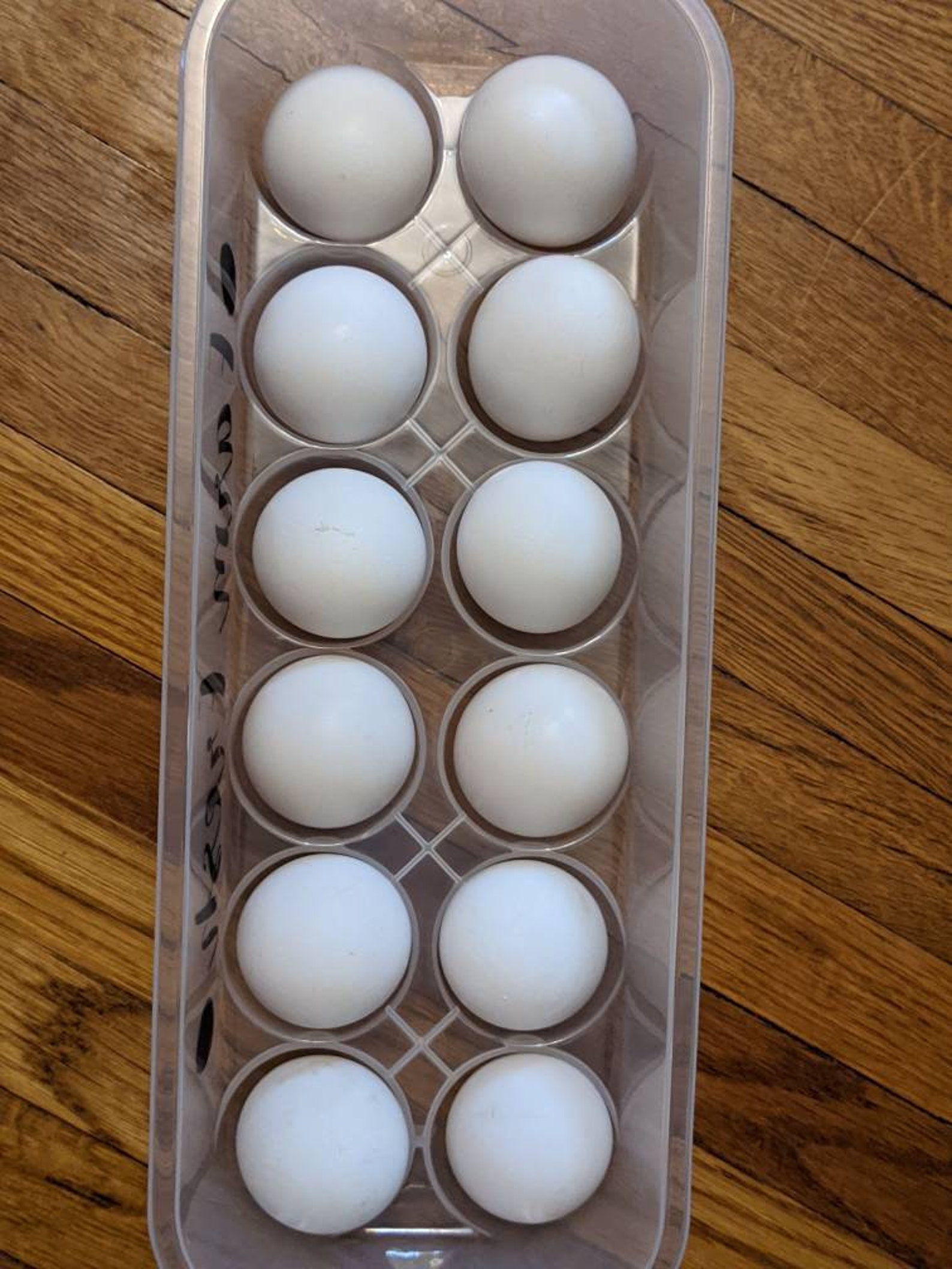 Reusable Plastic Egg Carton. Stackable Personalizable Free Etsy