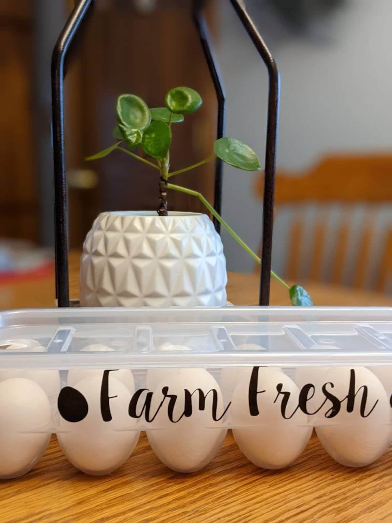 Reusable Plastic Egg Carton. Stackable Personalizable Free Etsy