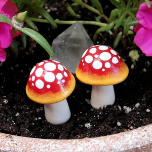 Ombre Fairy Garden Mushrooms (Set of 2) - Fairy Garden Accessories - Terrarium Decor - Mushroom Garden Decor