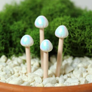 Pearlescent Magic Mushrooms - Fairy Garden Mushrooms - Plant Stakes - Terrarium Miniatures