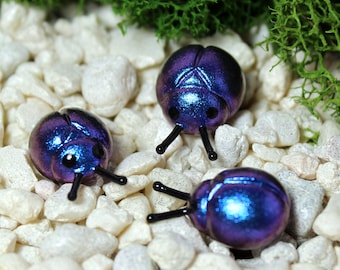 Fairy Garden Beetles - Plant Stakes - Fairy Garden Accessories - Fairy Garden Set