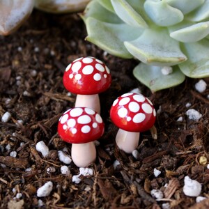 Fairy Garden Mushrooms (Set of 4) - Terrarium Miniatures - Plant Buddies - Fairy Garden Accessories