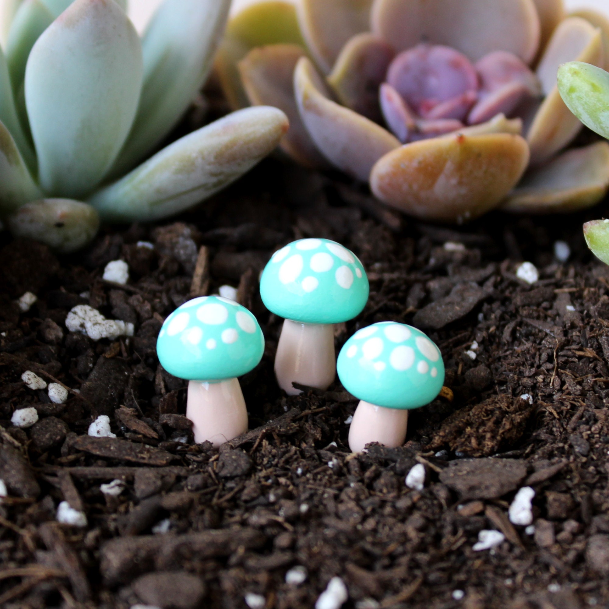 Seafoam Fairy Toadstools | Set de 4 - Accessoires Jardin Fées Figurines Terrarium Champignon Miniatu