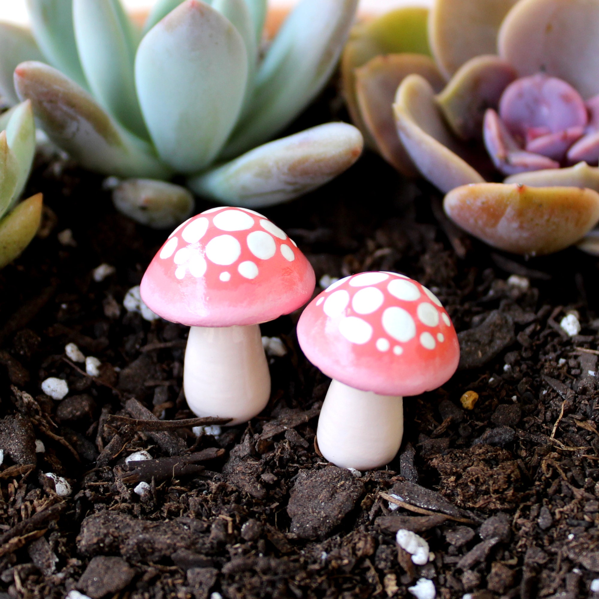 Terrarium mushroom - Miniature mushrooms terrarium décor - Fake