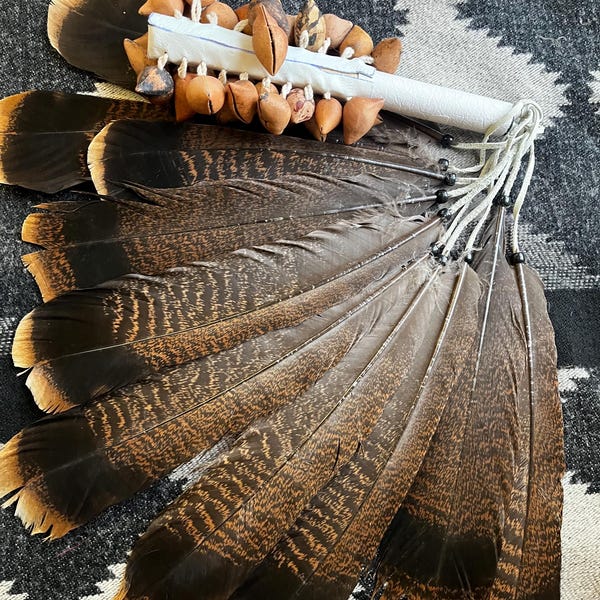 Rammelaar inheemse ayacaxtli Mexica