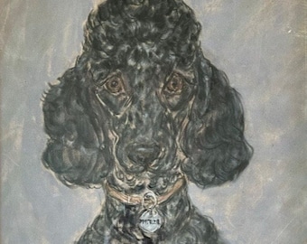 Vintage 1950's Framed HR Hildebrand Black Poodle Drawing | Kitschy 1950's Celebrity Pet Portrait Artwork
