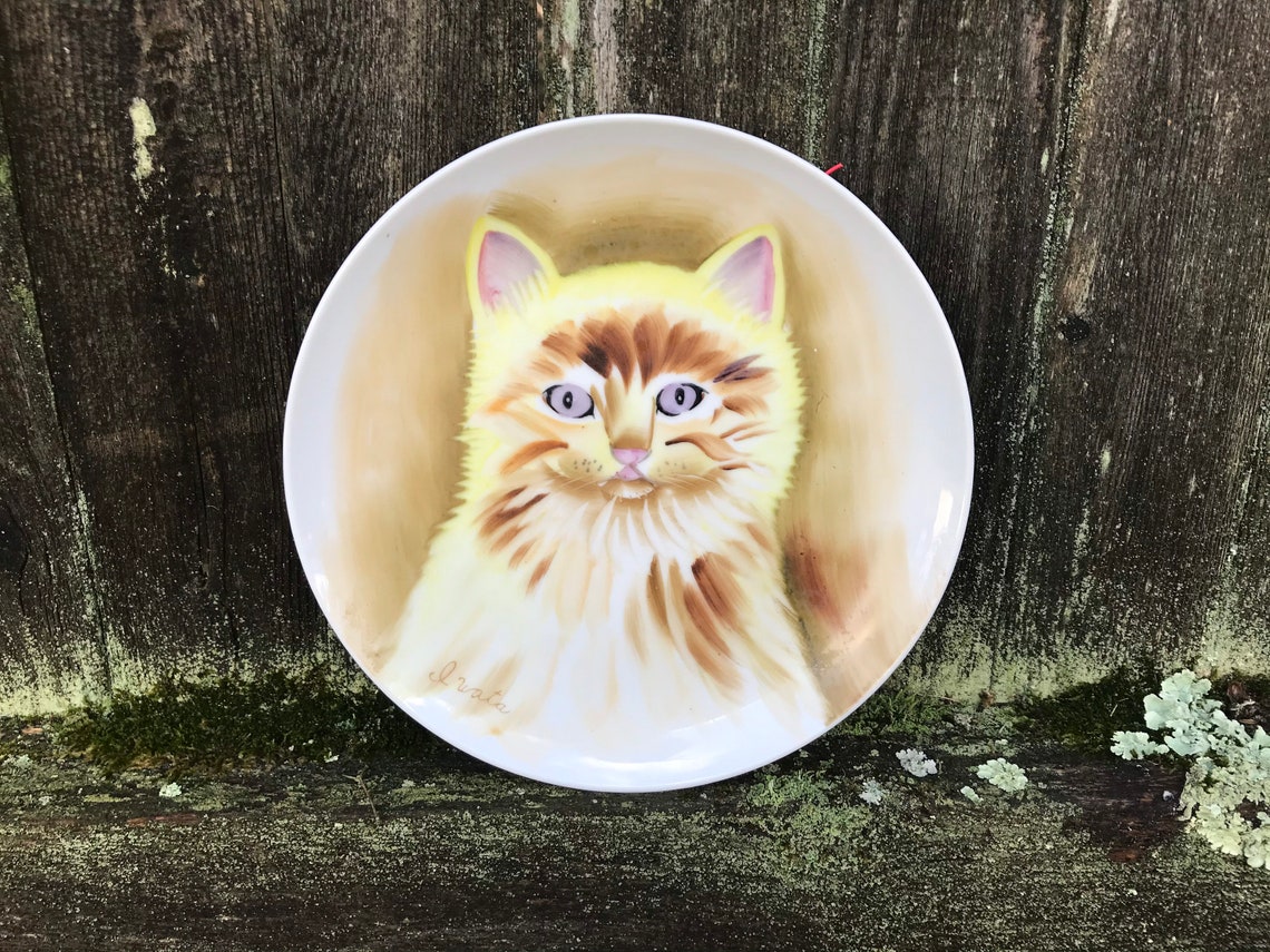 Hand Painted Cat Plate Kitschy Retro Cat Decorative Plate Etsy