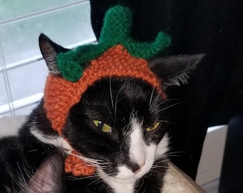 Hand Knit Pumpkin Hat for Cats