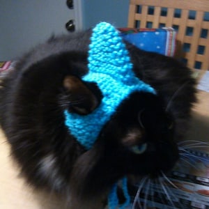 May include: A black cat wearing a blue crocheted hat. The cat is sitting on a table with a newspaper in the background.