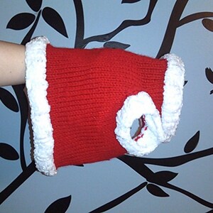 Hand Knit Red and White Santa Sweater for Cats or Small Dogs