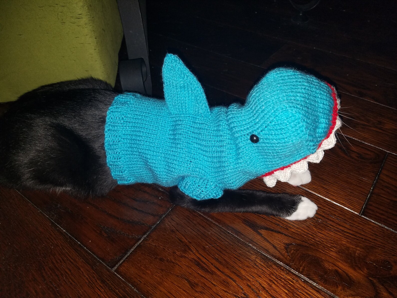 Hand Knit Shark Costume for Small Cats Kittens or Very Small Etsy