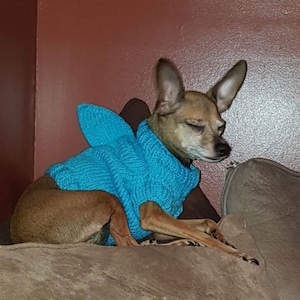 Hand Knit Shark Sweater for Kittens, Small Cats, and Very Small Dogs