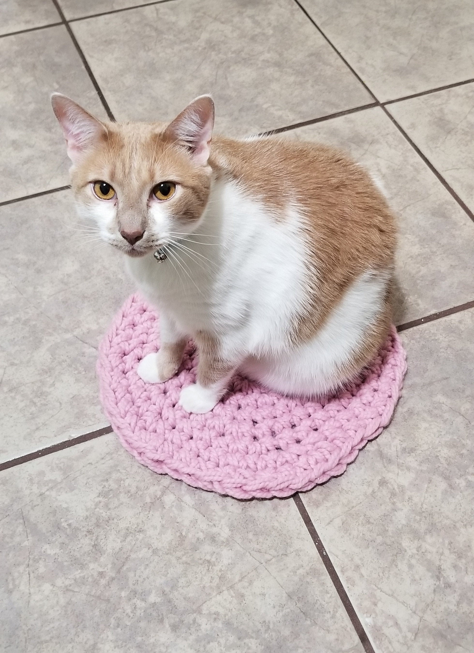 Hand Crocheted Pink Wool Blend Pet Bed