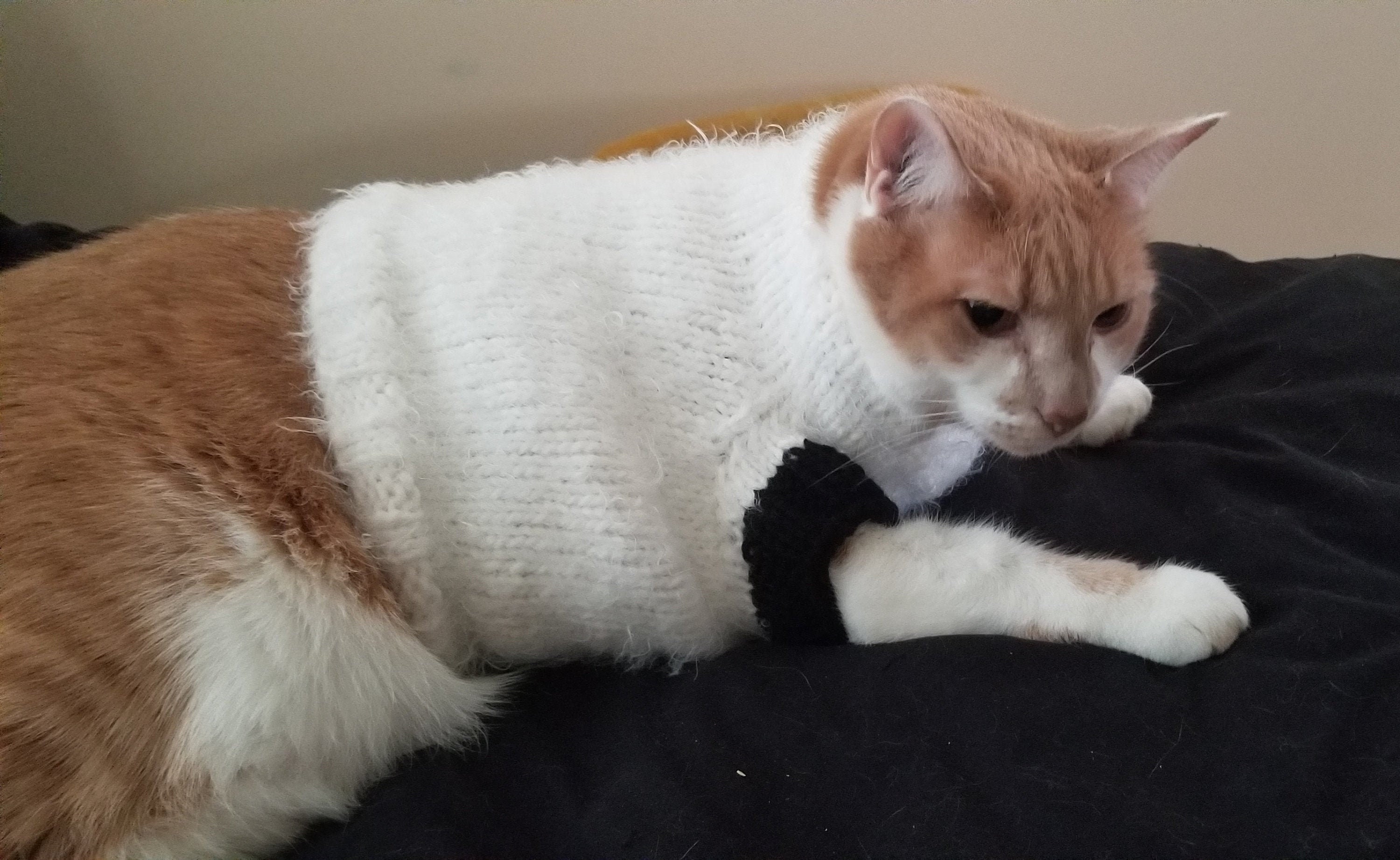 fluffy sheep sweater
