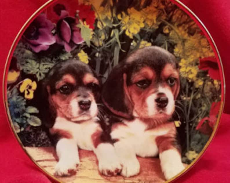 The Franklin Mint Spa-Europe Puppies /& Posies by Louis Grant Limited Edition Vintage Collectible Ceramic Gold Rimmed Plate
