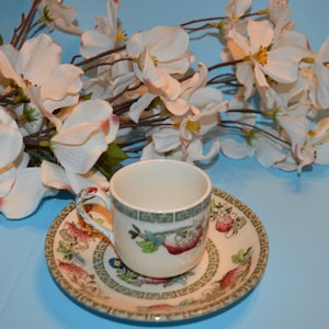Johnson Brother&#39;s Indian Tree Cup and Saucer