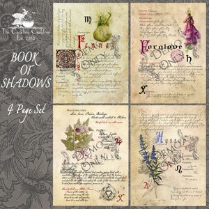 The Cackling Cauldron ~ Book of Shadows: Spell set 3