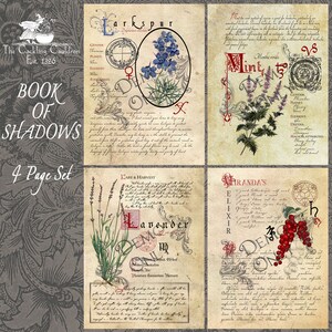 The Cackling Cauldron ~ Book of Shadows: spell set 4