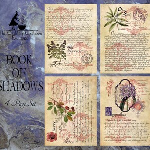May include: A four-page set of vintage-style illustrations featuring herbs and plants with handwritten text and a "Do Not Copy" stamp. The illustrations include a cherry, olive leaf, pennyroyal, and agapanthus.