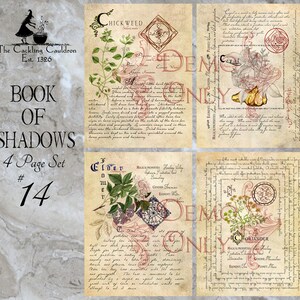 The Cackling Cauldron ~ Book of Shadows: Set # 14