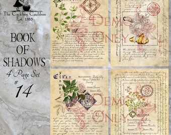 The Cackling Cauldron ~ Book of Shadows: Set # 14