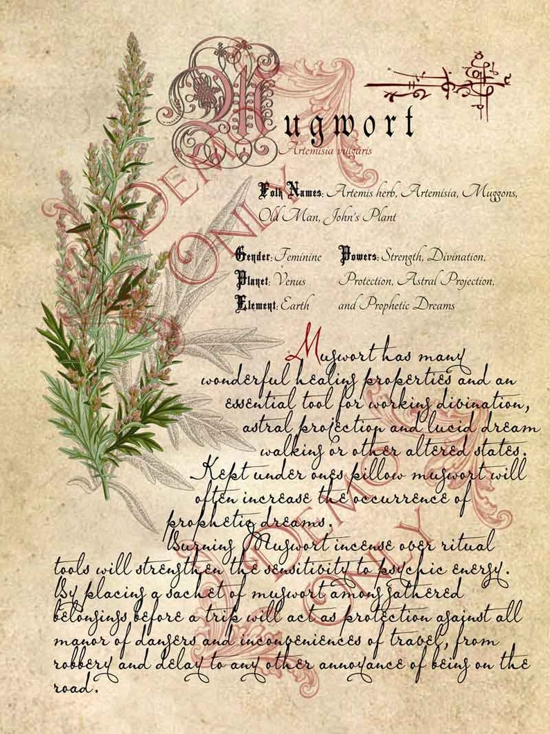 Spell Grimoire Practical Magic; The Cackling Cauldron BOS 4 page set #17 Herbs and Book of Shadows Pages