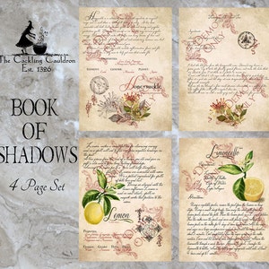 TThe Cackling Cauldron ~ Book of Shadows 4 page set #8
