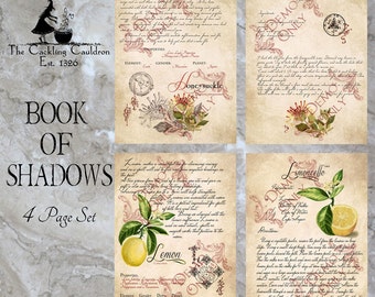 TThe Cackling Cauldron ~ Book of Shadows 4 page set #8