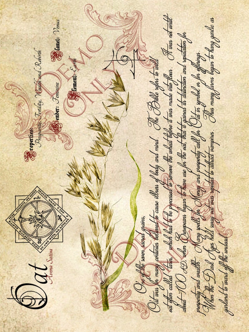 Spell Grimoire Practical Magic; The Cackling Cauldron BOS 4 page set #17 Herbs and Book of Shadows Pages