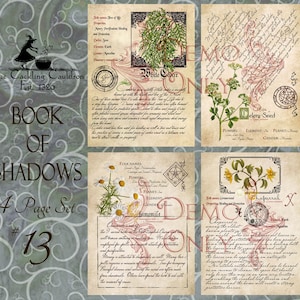 The Cackling Cauldron ~ Book of Shadows: Set # 13