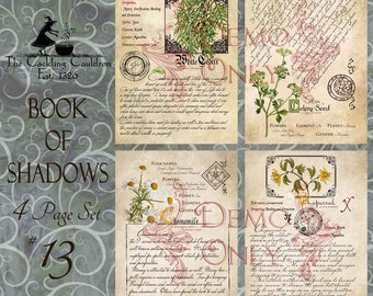 The Cackling Cauldron ~ Book of Shadows: Set # 13