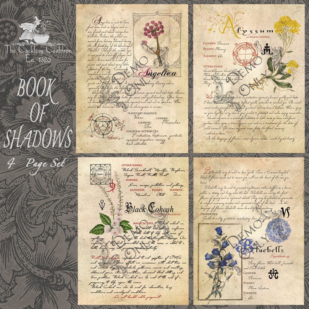The Cackling Cauldron Book of Shadows: Spell Set 1 