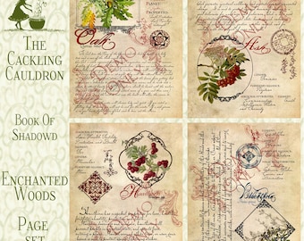 The Cackling Cauldron Book of Shadows ~ Enchanted wood Page Set
