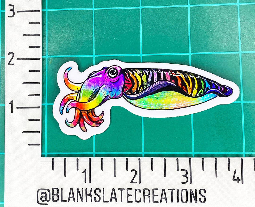 Rainbow Cuttlefish Cephalopod Holographic Sticker - Etsy