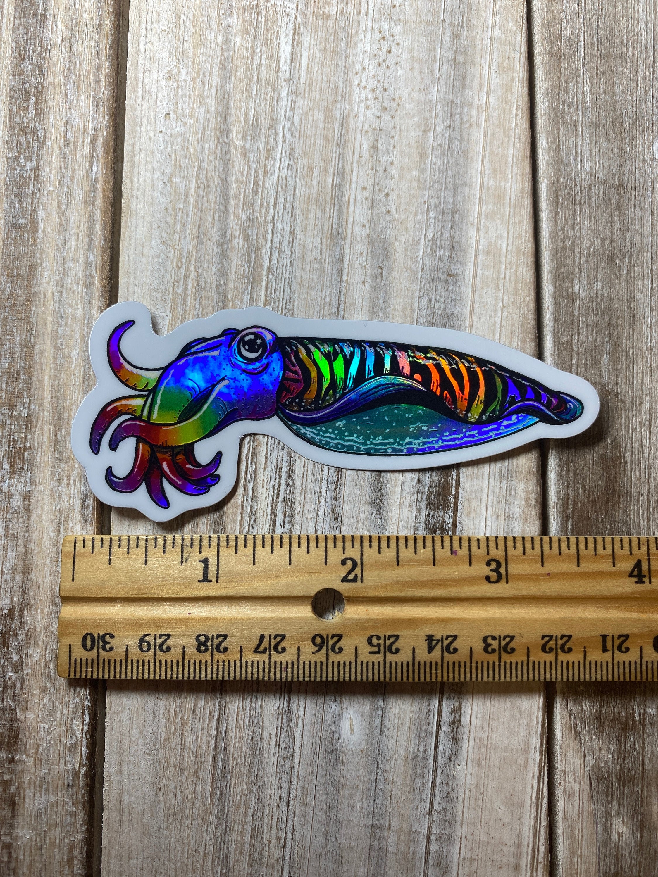 Rainbow Cuttlefish Cephalopod Holographic Sticker | Etsy