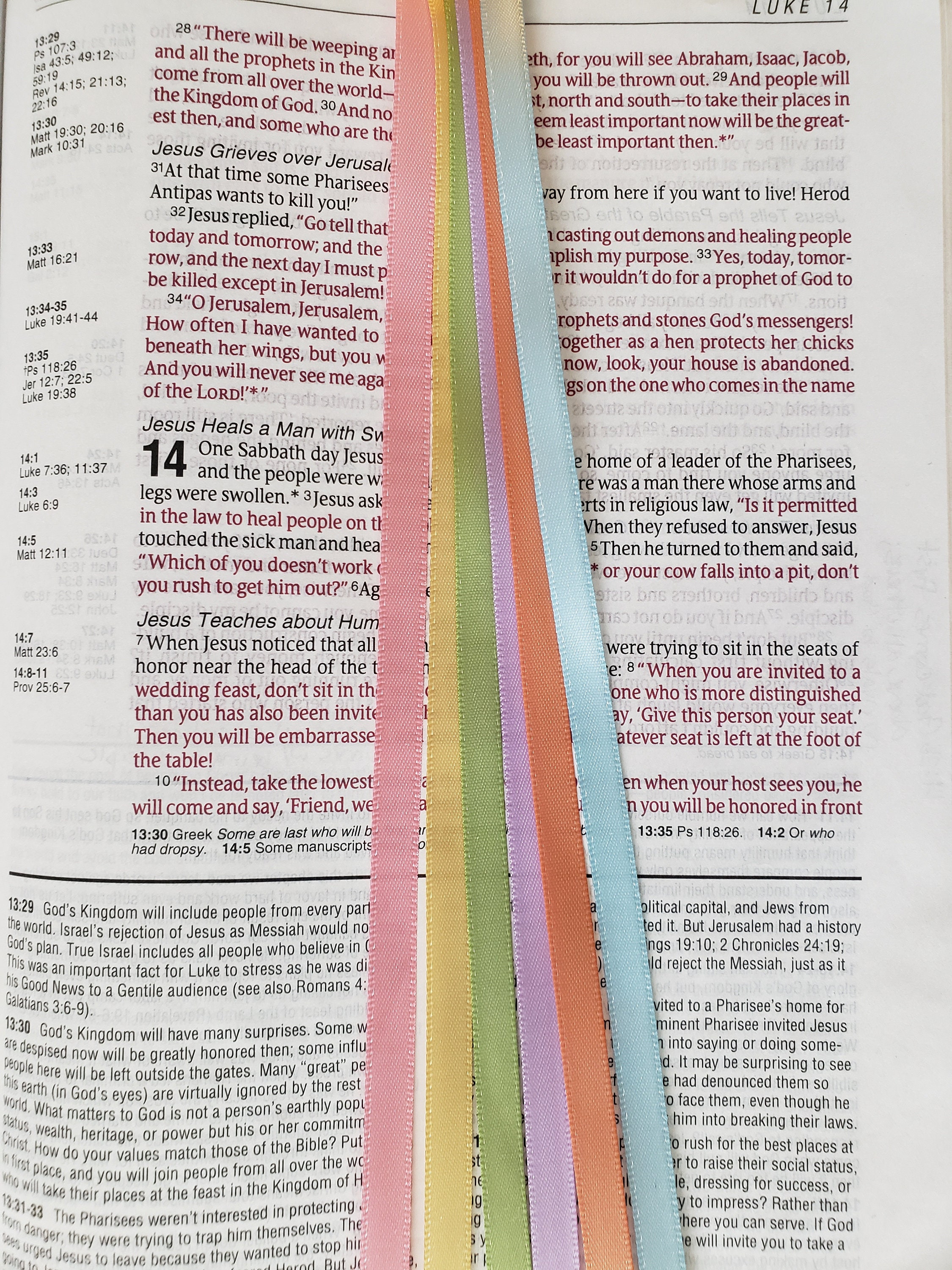 Bible Scriptures Ribbon WILDFLOWER Bible Bookmark Ribbons/ Multi Ribbon Book Mark/bible ...