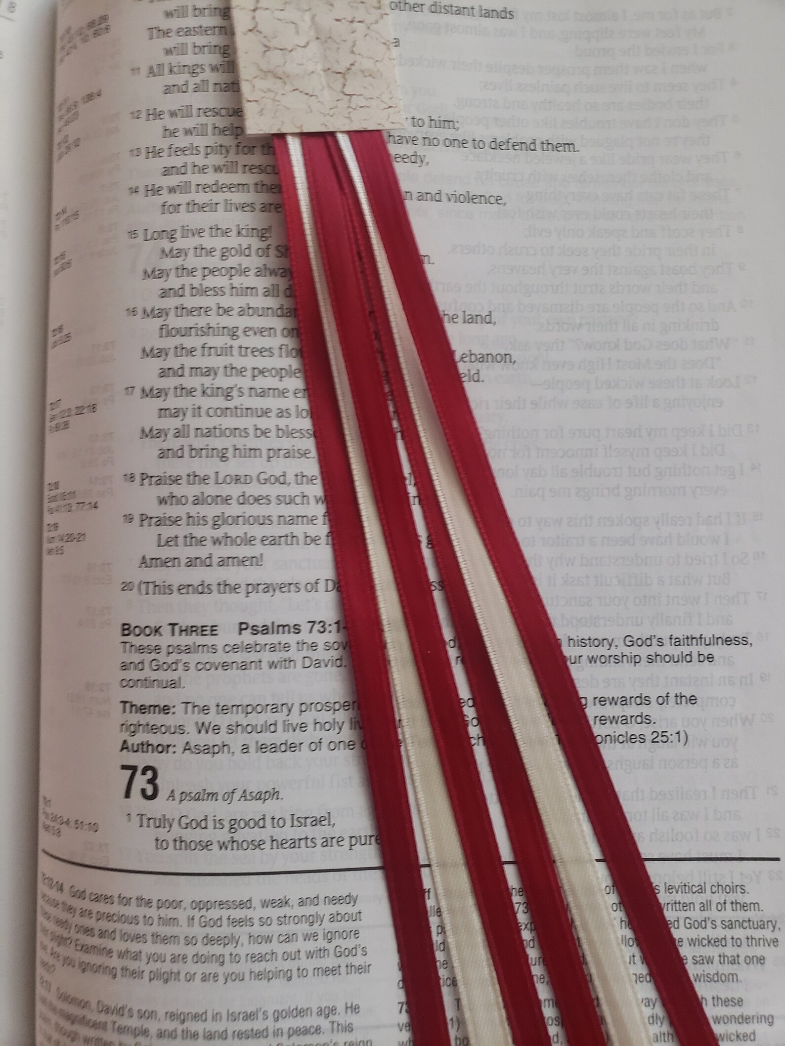 Bookmark multi page 6 ribbons SCARLET and SNOW Bible study Etsy