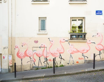 Pink Paris Photography - Pink Flamingos Print - Paris Bedroom Decor - Paris Street Art Photography - Montmartre Photo - Paris Gallery Wall