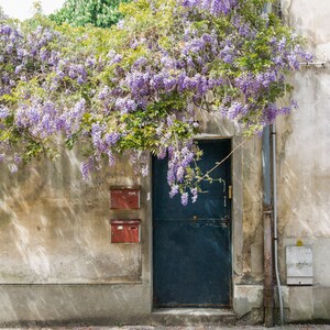 Paris Photography Print - Teal Door with Wisteria - Paris Wall Art - Paris bedroom Decor