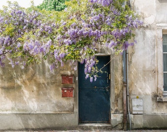 Paris Photography Print - Teal Door with Wisteria - Paris Wall Art - Paris bedroom Decor