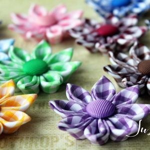Può includere: Nove fiori in tessuto gingham di vari colori, tra cui blu, rosa, verde, giallo, viola, marrone e rosso. Ogni fiore ha un bottone al centro.